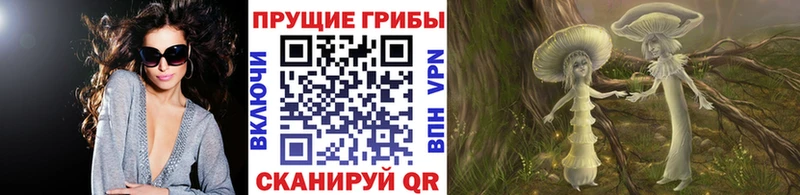 мега ТОР  Петропавловск-Камчатский  Псилоцибиновые грибы Cubensis 