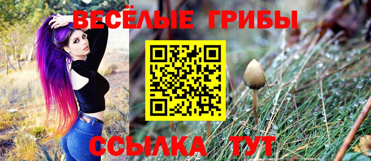 Галлюциногенные грибы мицелий Петропавловск-Камчатский